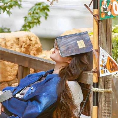 太空堡垒卡拉狄加:计划